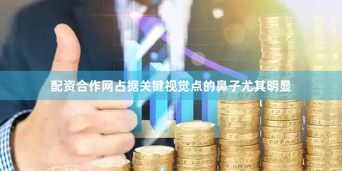 配资合作网占据关键视觉点的鼻子尤其明显
