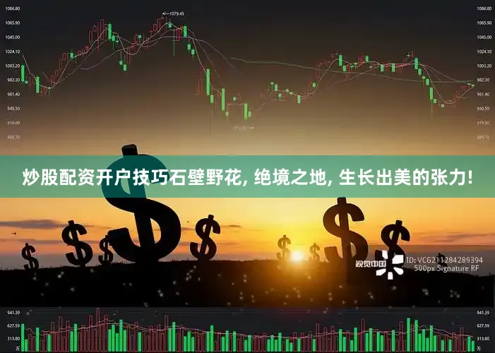 炒股配资开户技巧石壁野花, 绝境之地, 生长出美的张力!