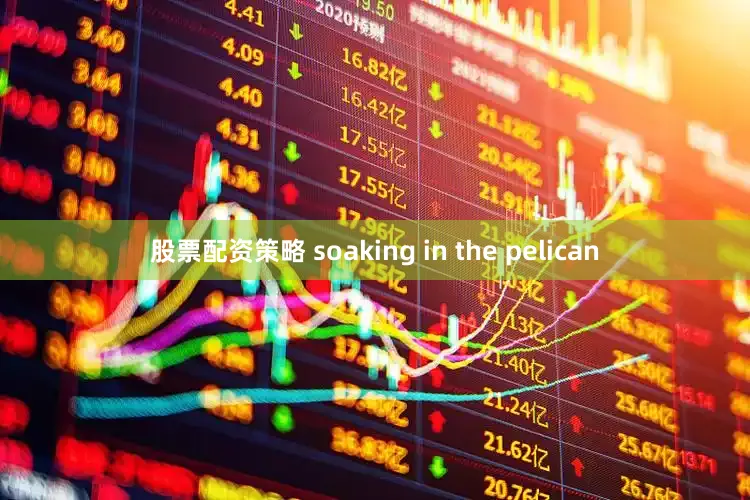 股票配资策略 soaking in the pelican