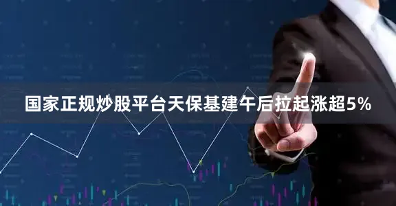 国家正规炒股平台天保基建午后拉起涨超5%