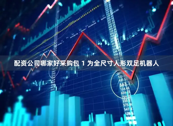 配资公司哪家好采购包 1 为全尺寸人形双足机器人