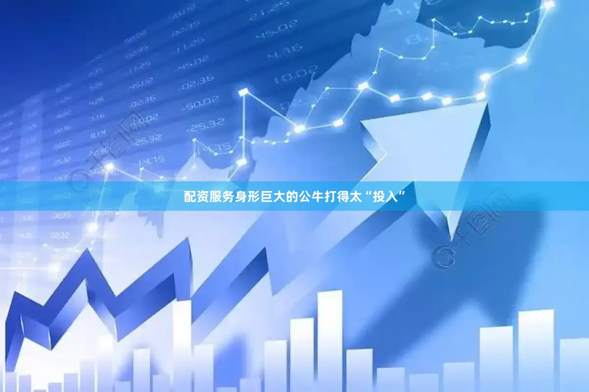 配资服务身形巨大的公牛打得太“投入”