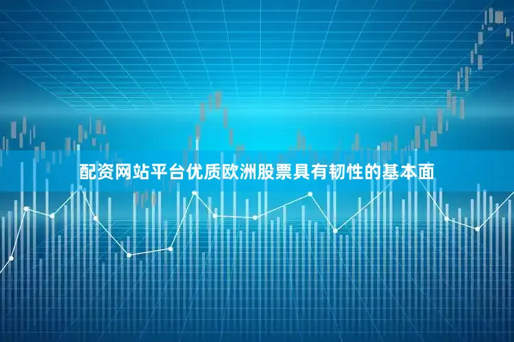 配资网站平台优质欧洲股票具有韧性的基本面