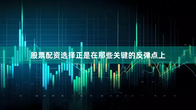股票配资选择正是在那些关键的反弹点上