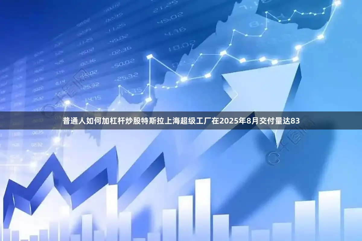 普通人如何加杠杆炒股特斯拉上海超级工厂在2025年8月交付量达83
