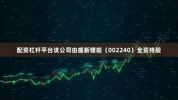 配资杠杆平台该公司由盛新锂能（002240）全资持股