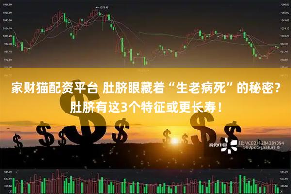家财猫配资平台 肚脐眼藏着“生老病死”的秘密？肚脐有这3个特征或更长寿！