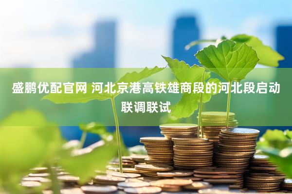 盛鹏优配官网 河北京港高铁雄商段的河北段启动联调联试