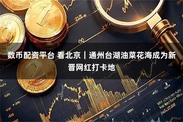 数币配资平台 看北京｜通州台湖油菜花海成为新晋网红打卡地