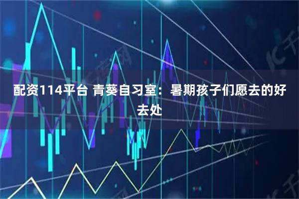 配资114平台 青葵自习室：暑期孩子们愿去的好去处